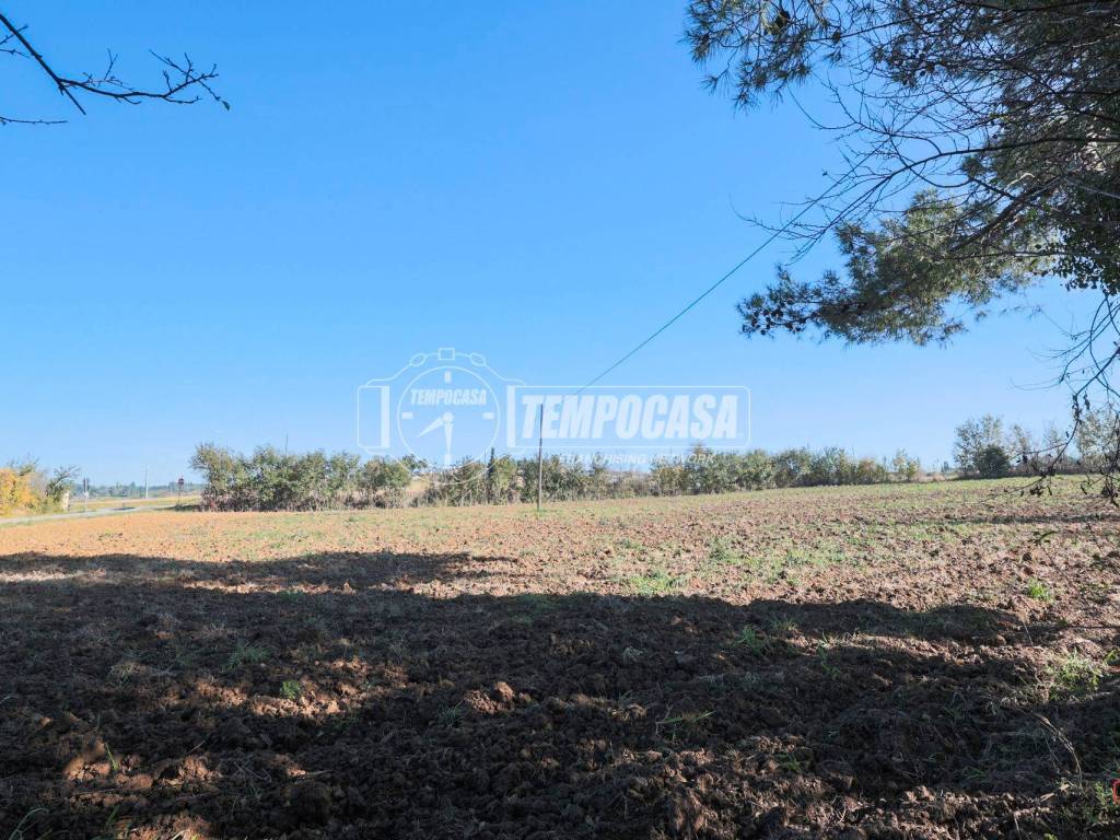 terreno agricolo in vendita a Misano Adriatico in zona Scacciano