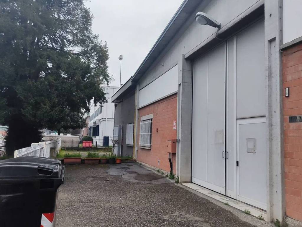 immagine annuncio 2 di 5