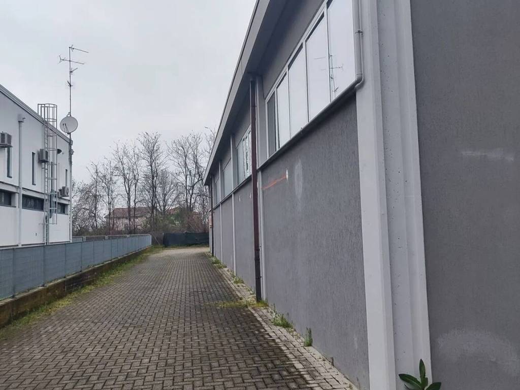 immagine annuncio 3 di 5