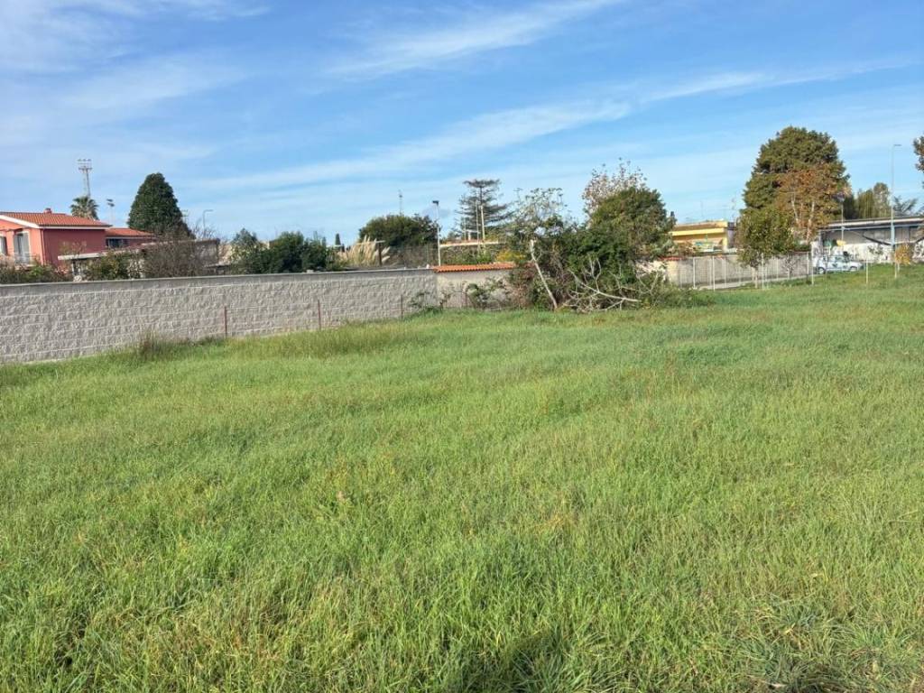 immagine annuncio 3 di 4