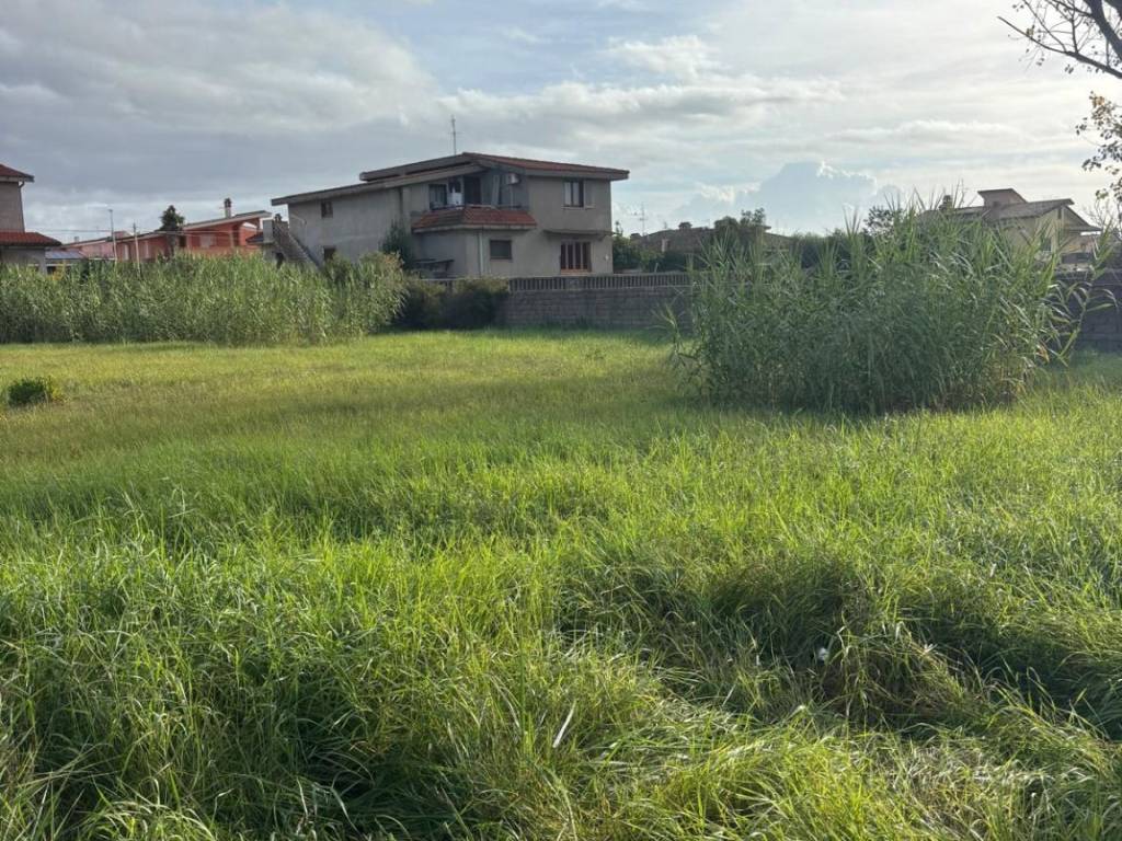 immagine annuncio 2 di 3