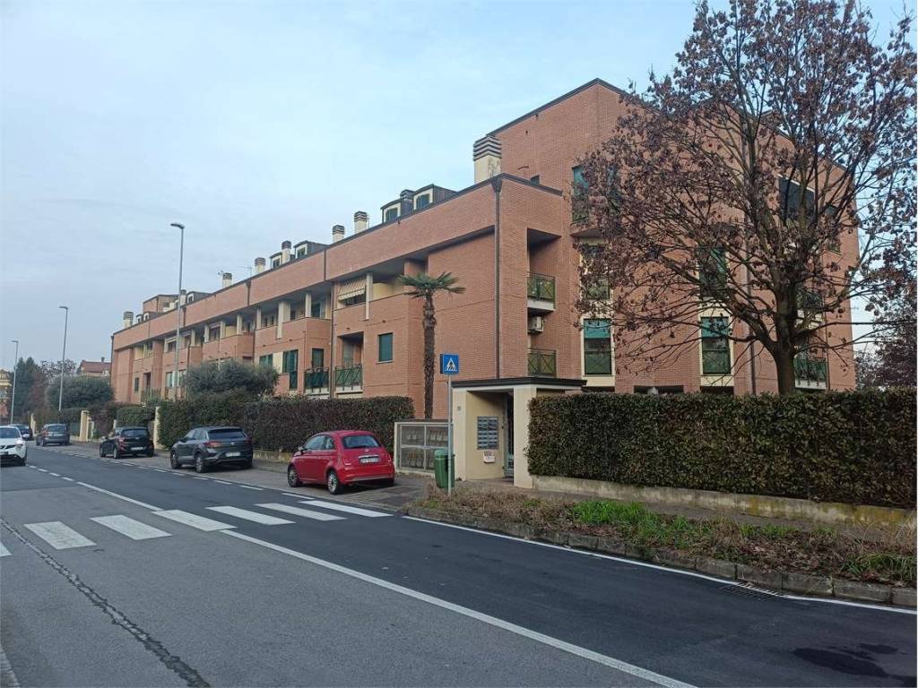 immagine annuncio 2 di 5