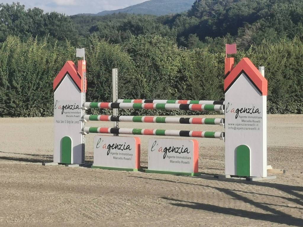 immagine annuncio 2 di 3