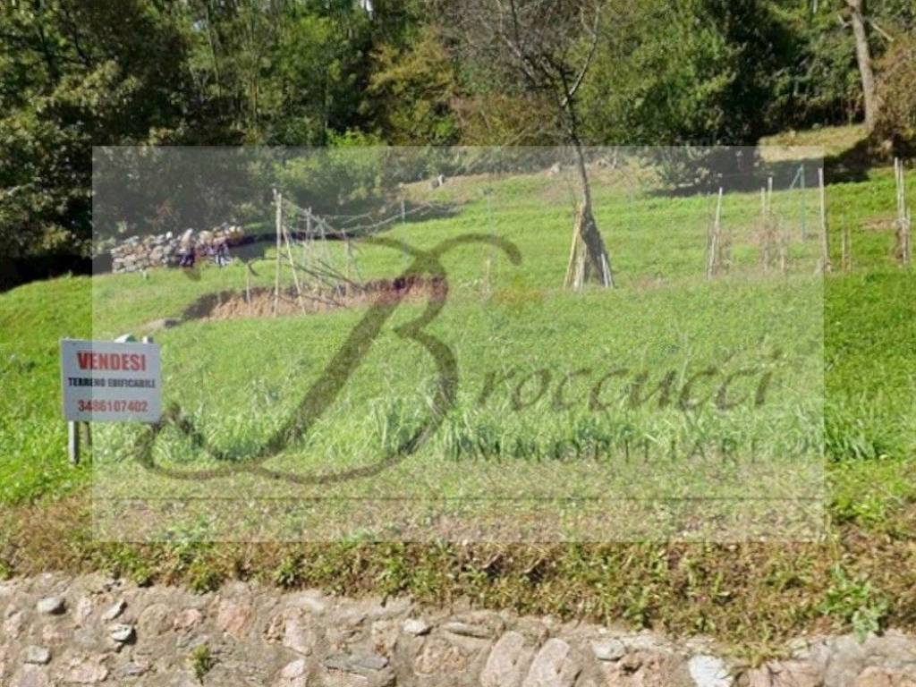 immagine annuncio 1 di 4