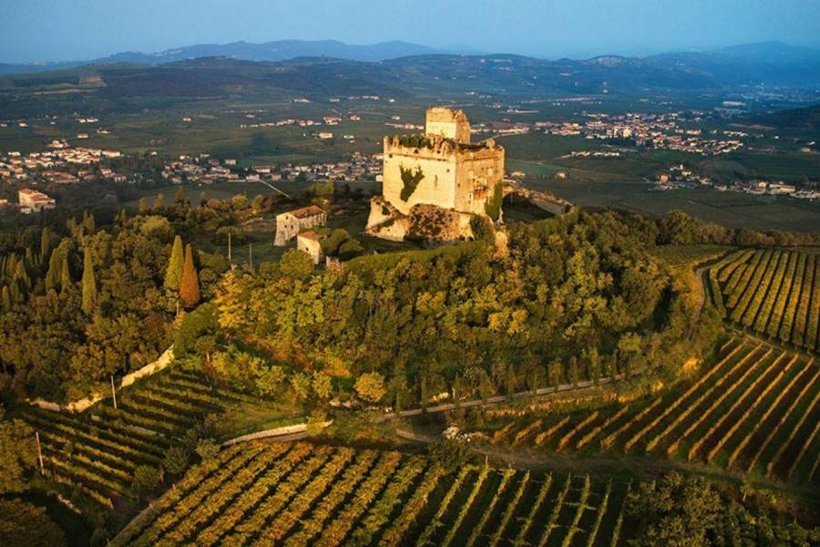 immagine annuncio 1 di 2