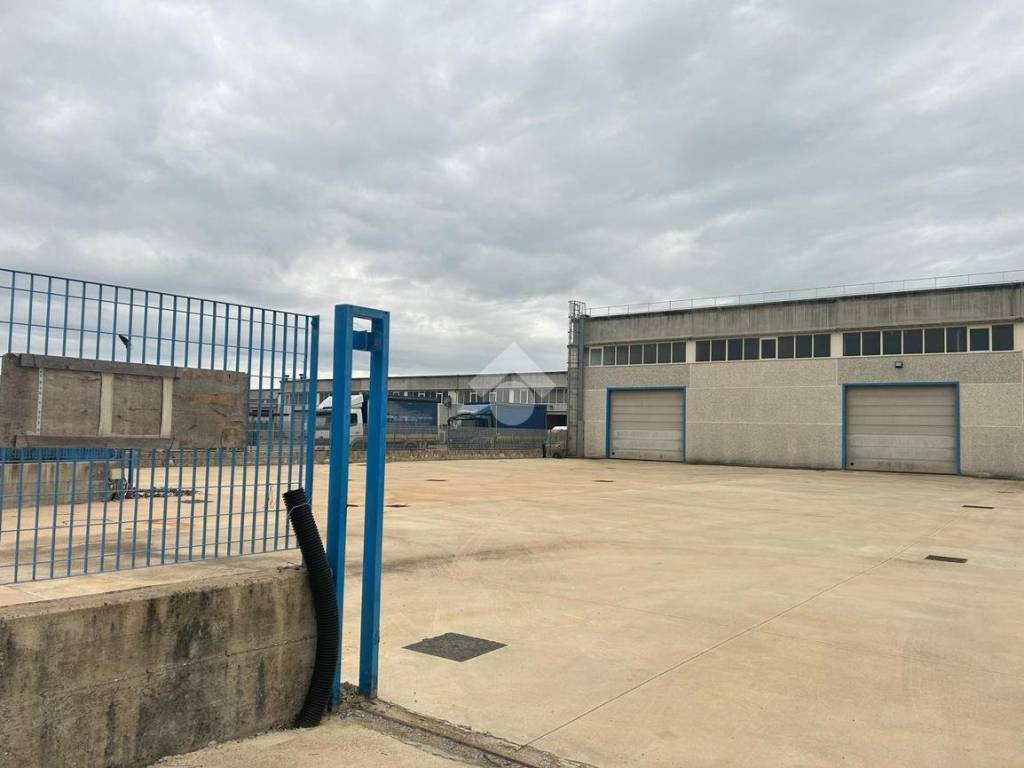 immagine annuncio 2 di 5