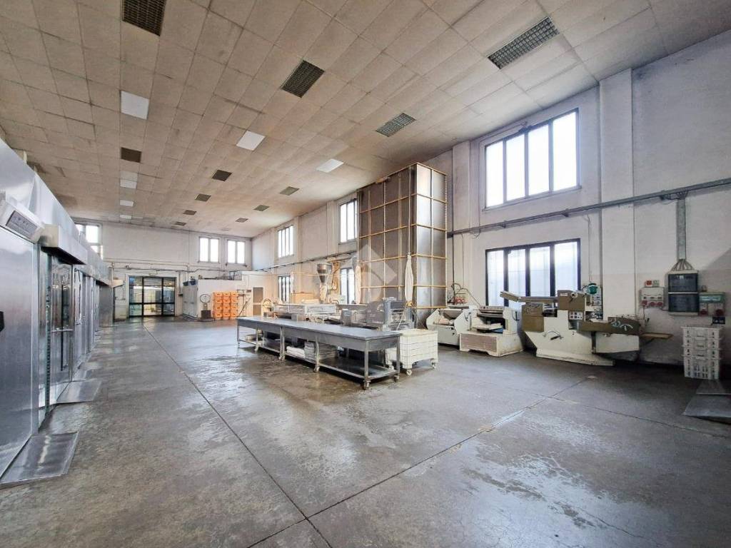 immagine annuncio 3 di 5