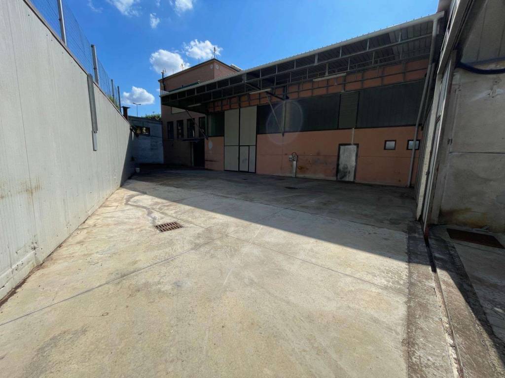 immagine annuncio 2 di 5