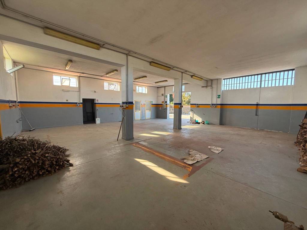 immagine annuncio 2 di 5