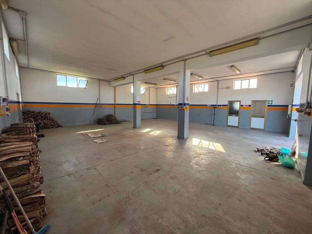 immagine annuncio 3 di 5