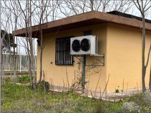 immagine annuncio 2 di 3