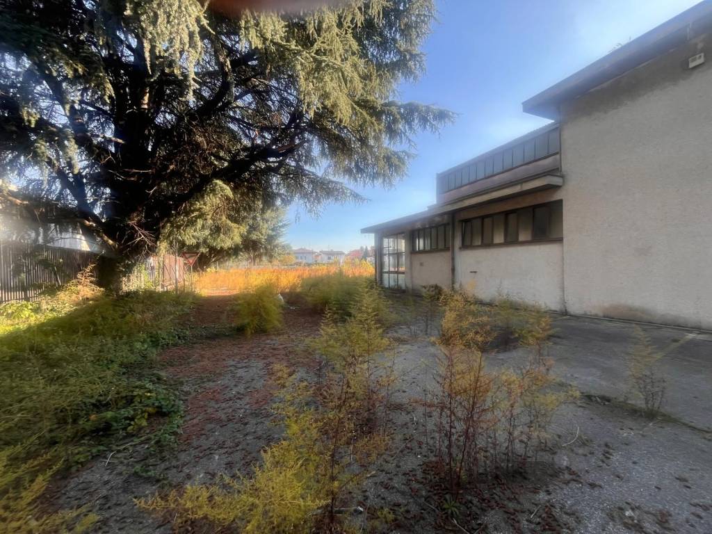 immagine annuncio 1 di 5