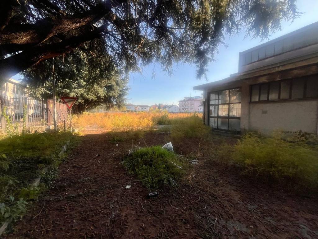 immagine annuncio 3 di 5