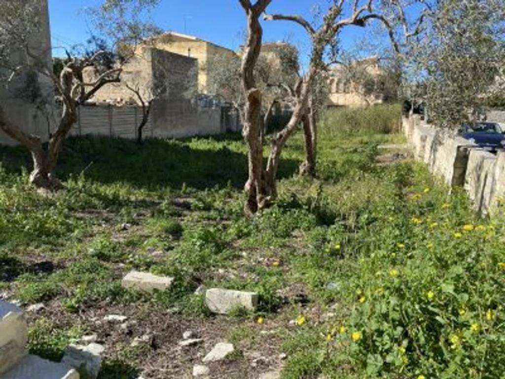 immagine annuncio 1 di 4