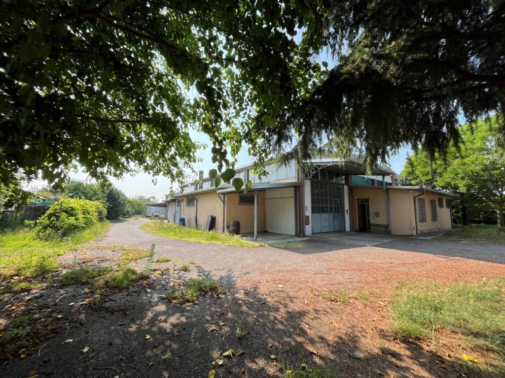 immagine annuncio 2 di 5