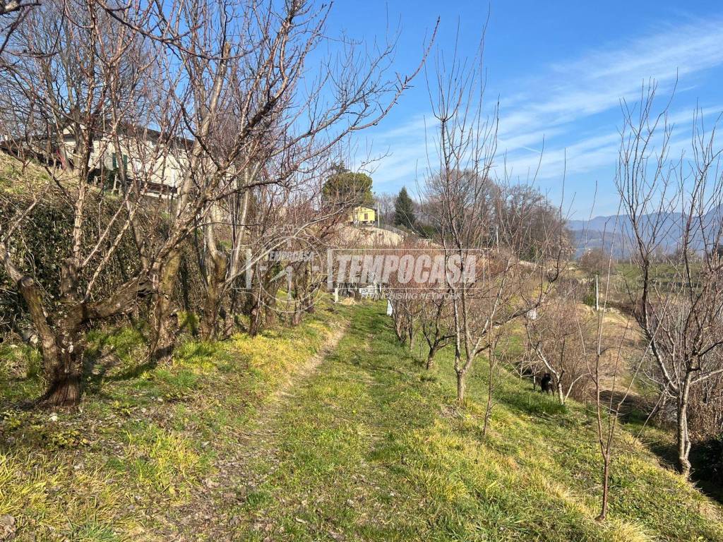 terreno agricolo in vendita a Castelli Calepio