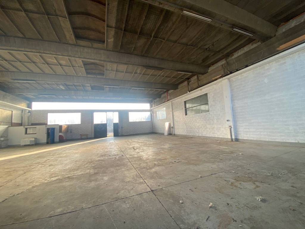 immagine annuncio 3 di 5