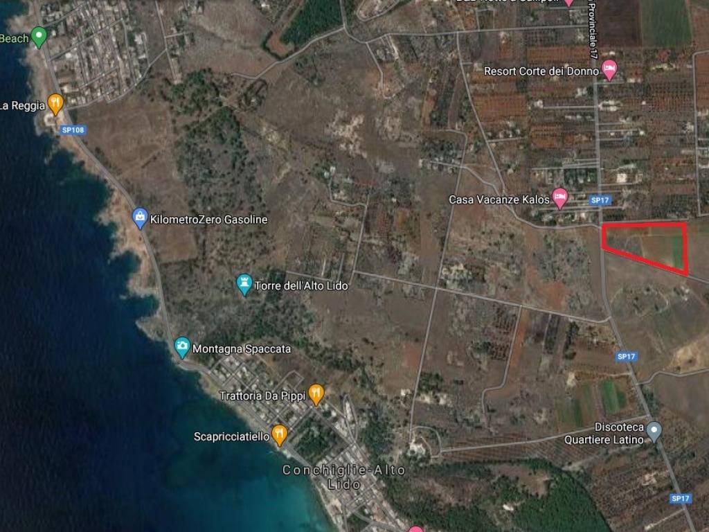 immagine annuncio 2 di 5