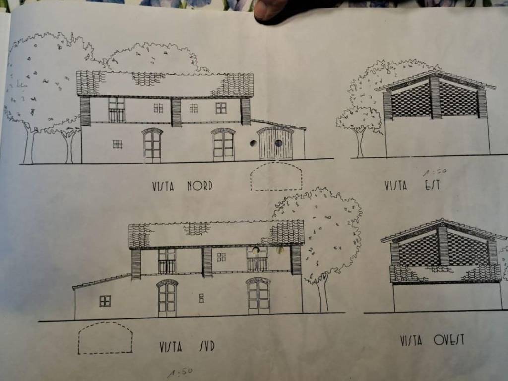 immagine annuncio 2 di 5