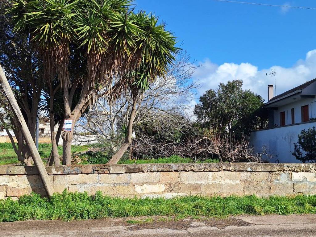 immagine annuncio 1 di 4