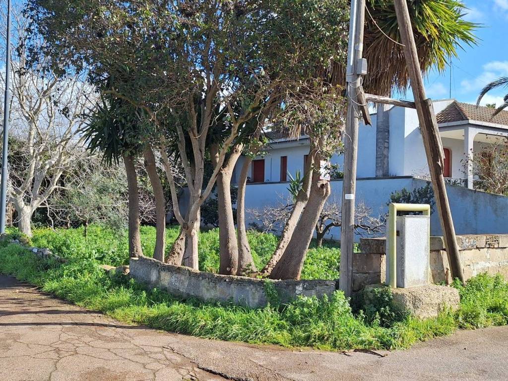 immagine annuncio 3 di 4