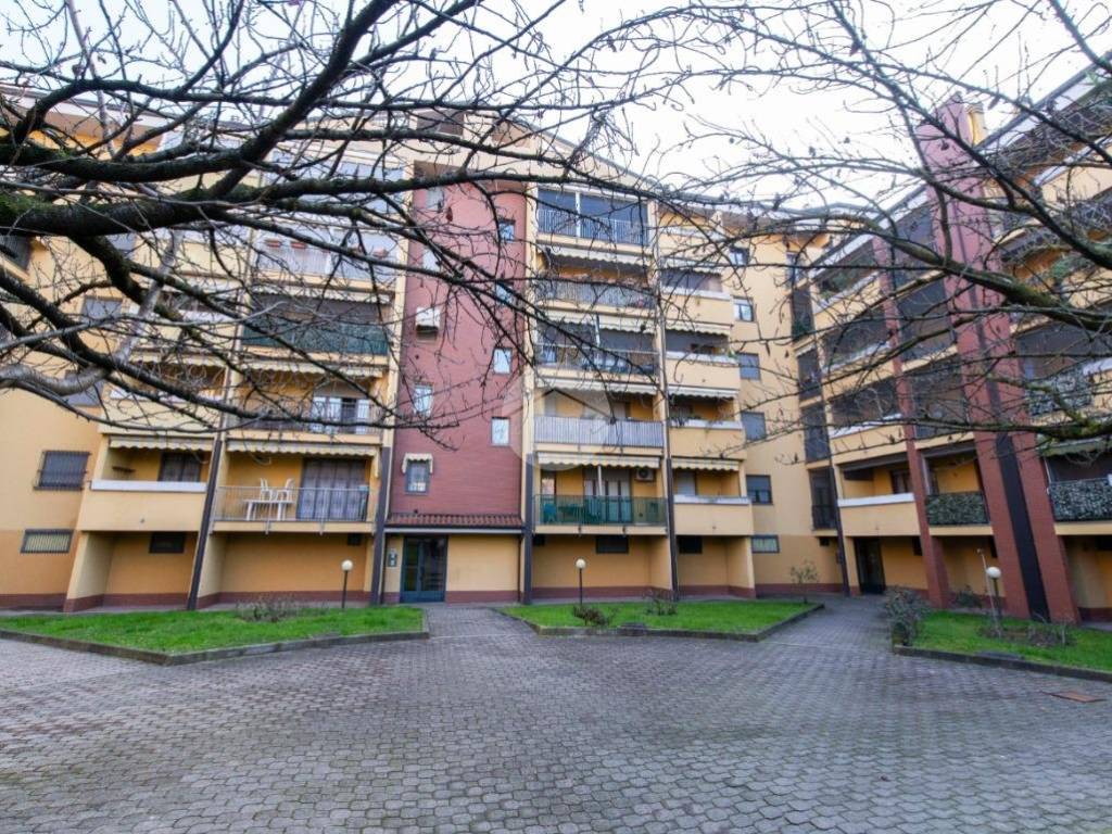 immagine annuncio 2 di 5