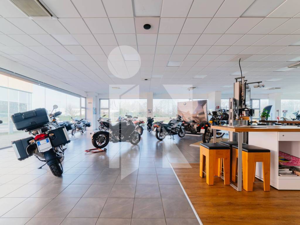 immagine annuncio 4 di 5