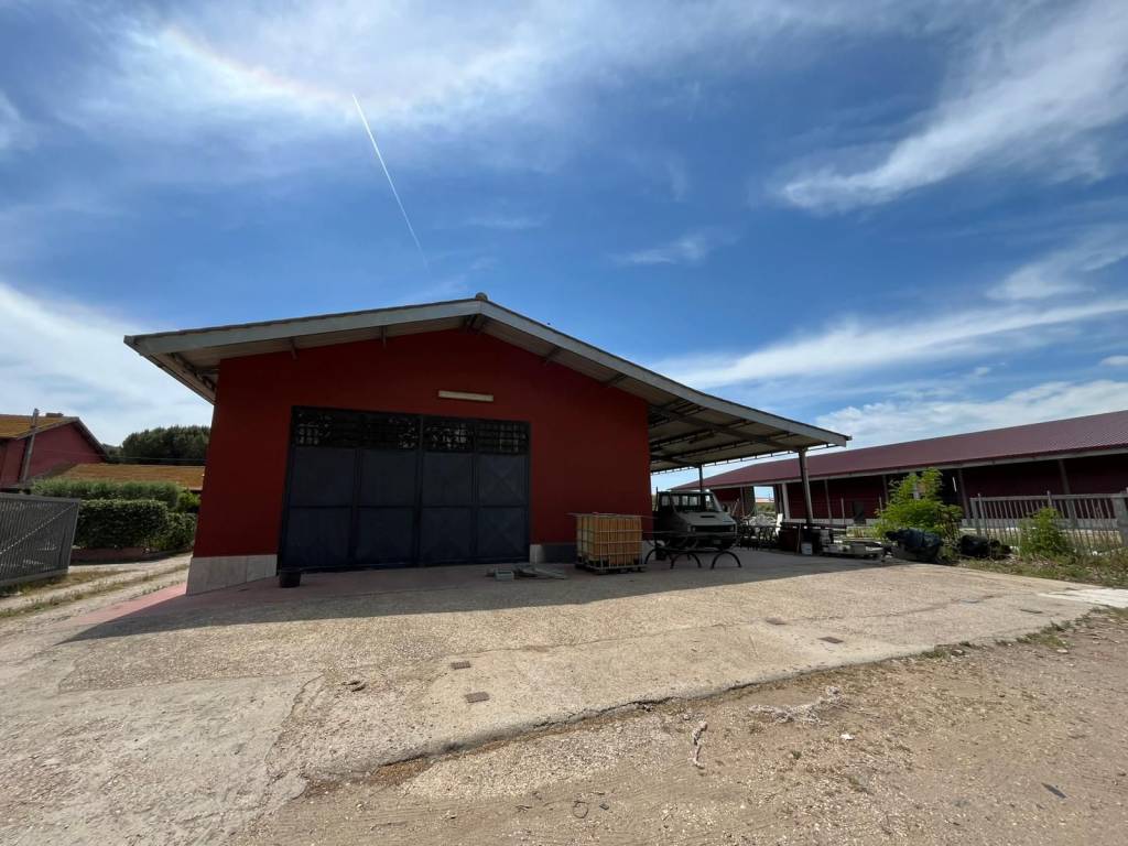 immagine annuncio 4 di 5