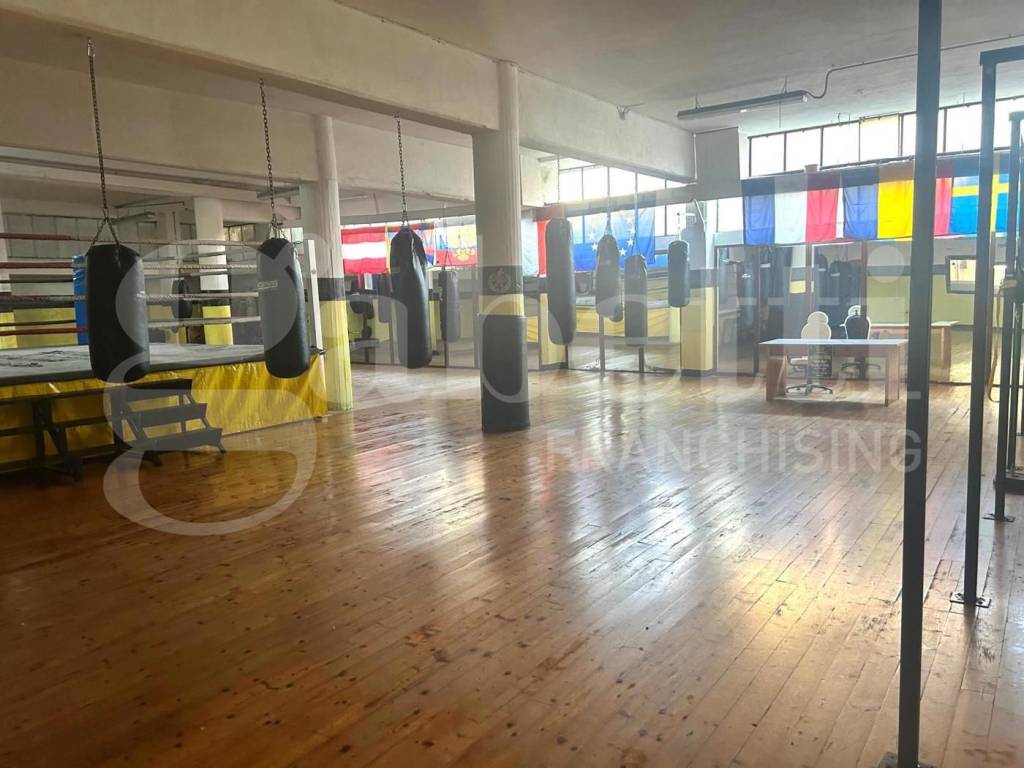 immagine annuncio 2 di 5