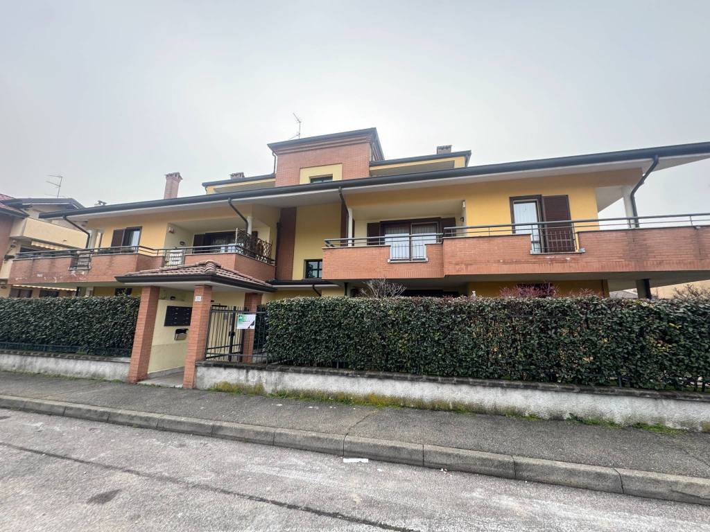 immagine annuncio 3 di 5