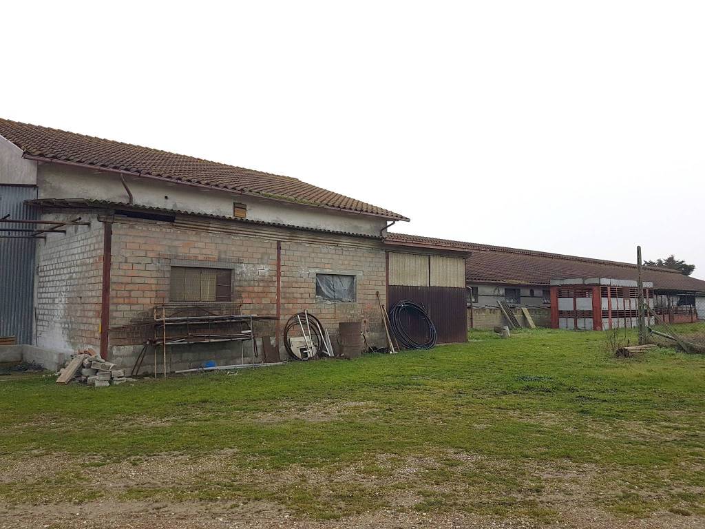 immagine annuncio 3 di 5