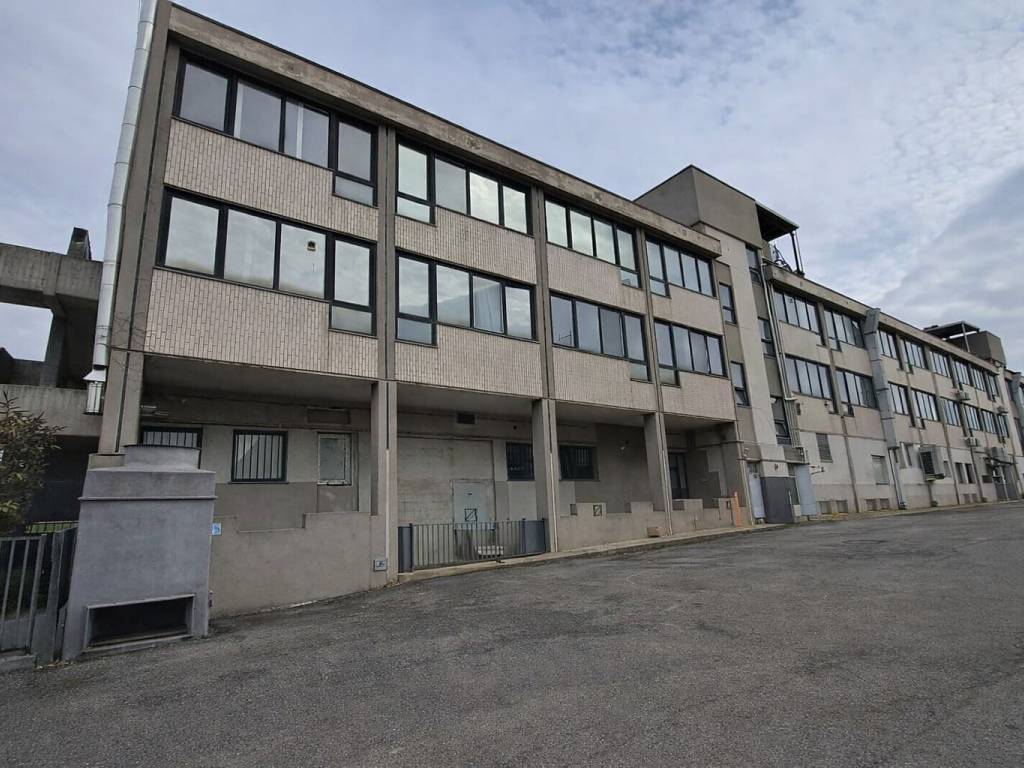 immagine annuncio 3 di 5