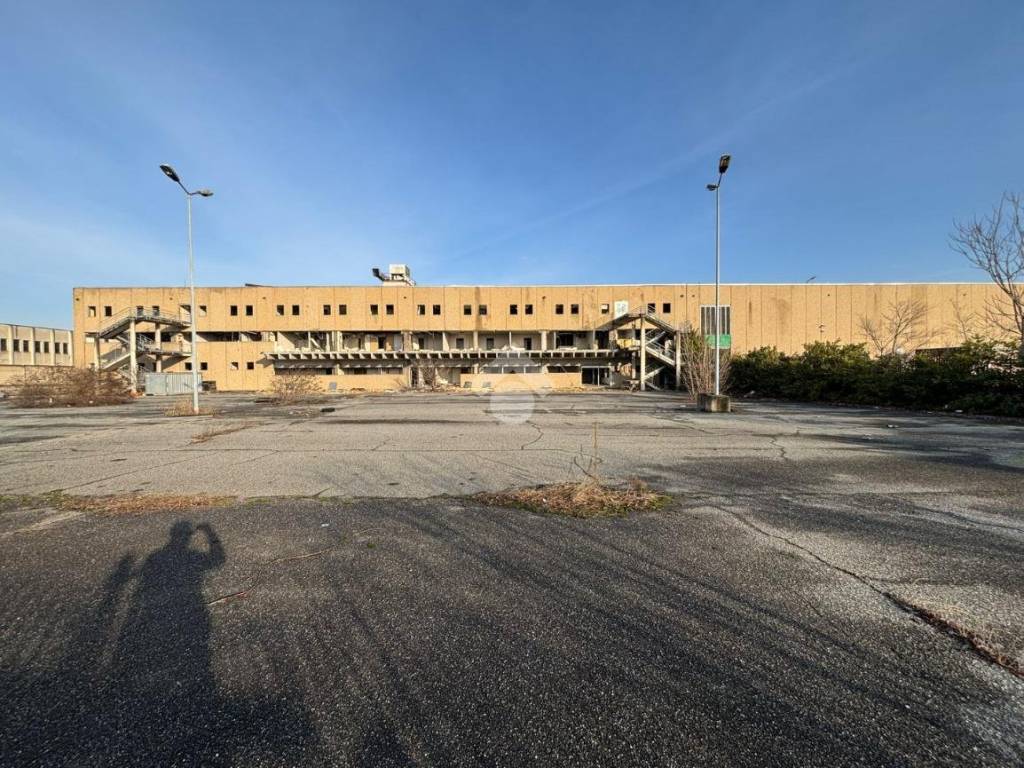 immagine annuncio 3 di 5