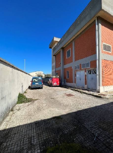 immagine annuncio 2 di 4