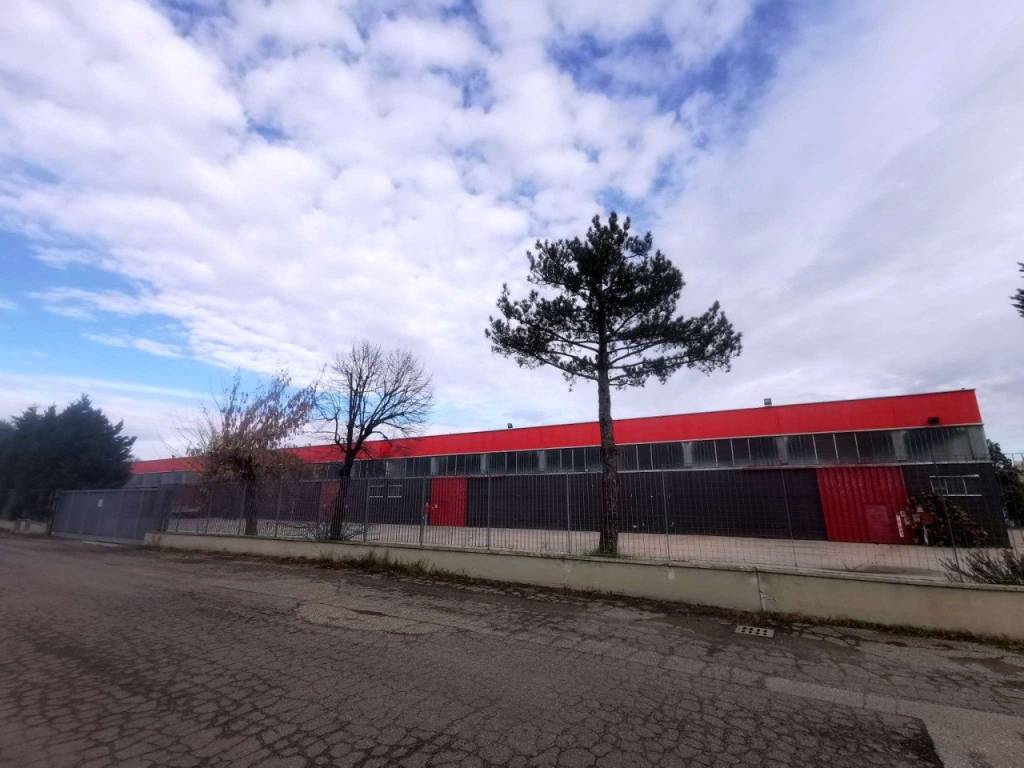 immagine annuncio 1 di 5