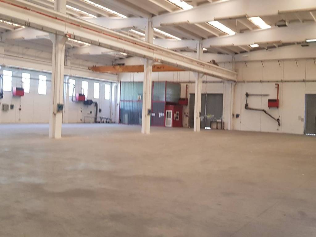 immagine annuncio 3 di 5