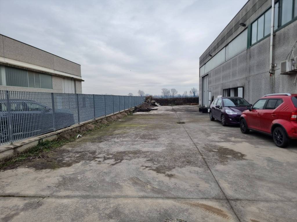 immagine annuncio 2 di 5