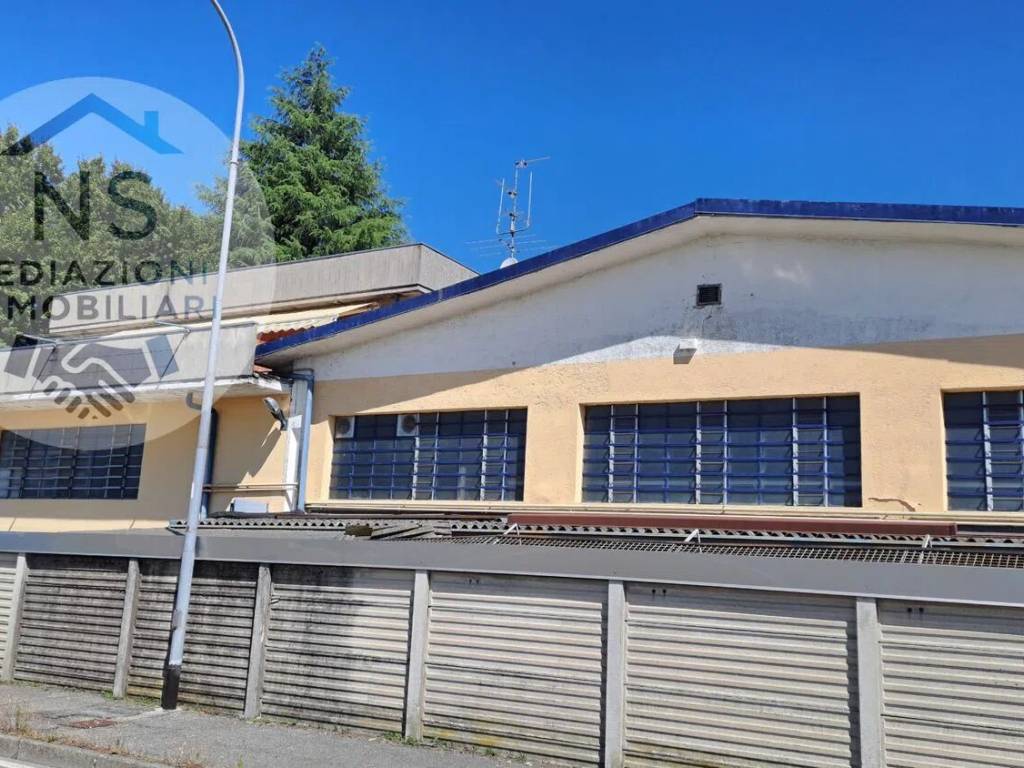 immagine annuncio 1 di 5