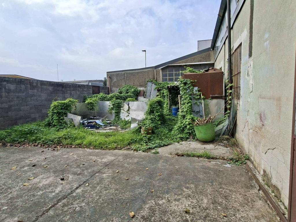 immagine annuncio 2 di 5