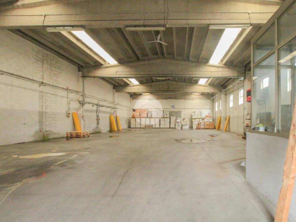 immagine annuncio 3 di 5