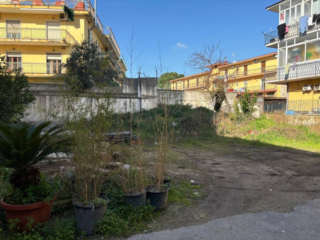 immagine annuncio 2 di 4