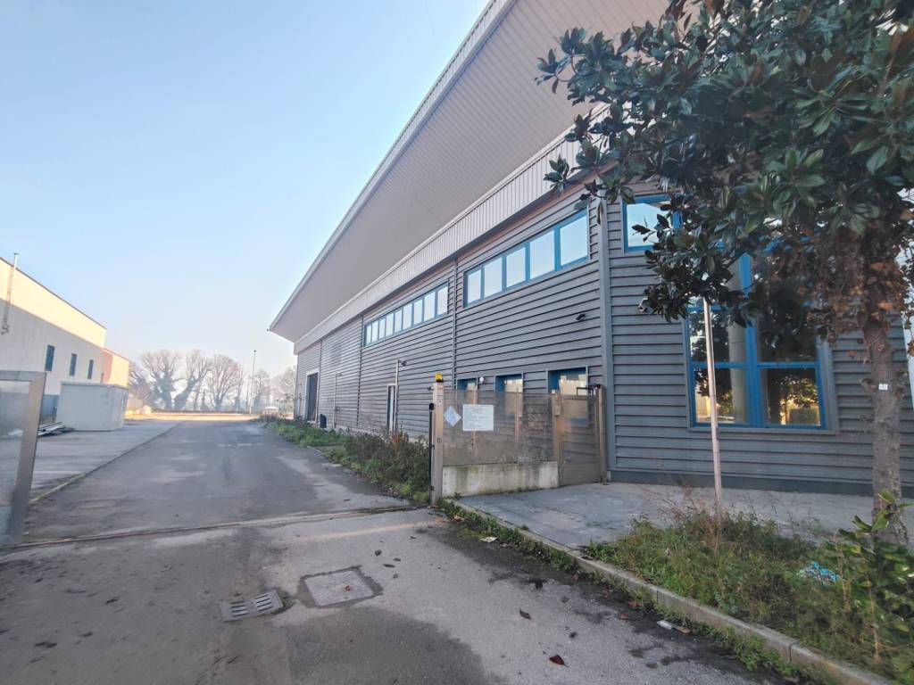 immagine annuncio 1 di 5