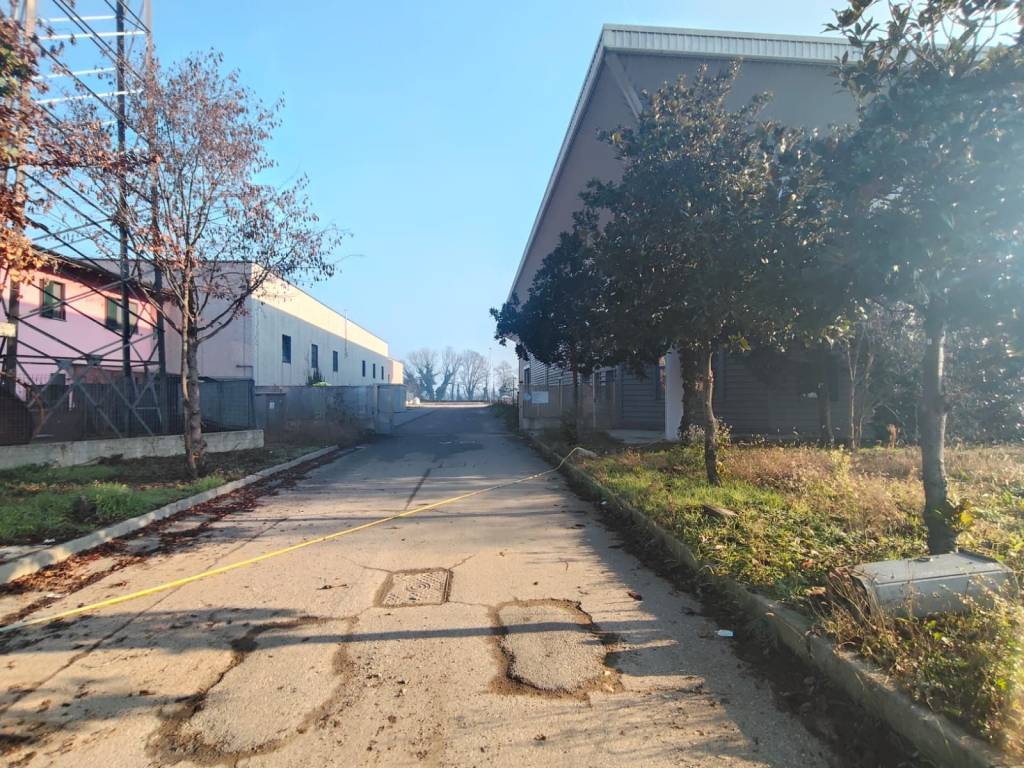 immagine annuncio 3 di 5