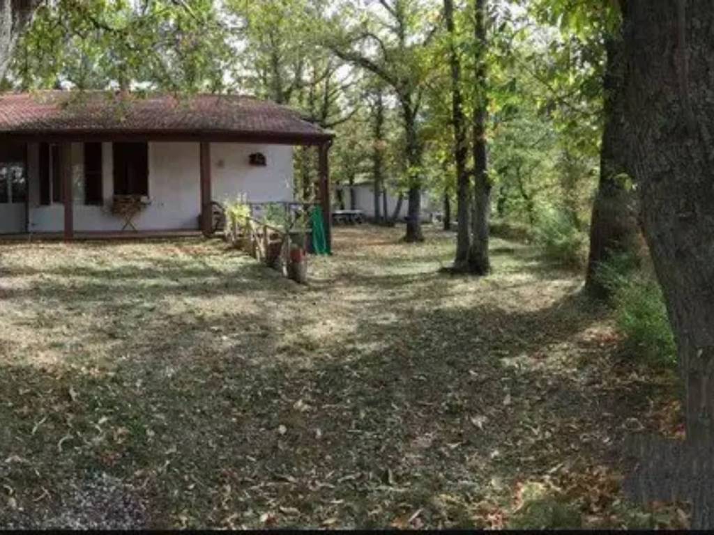 immagine annuncio 1 di 3