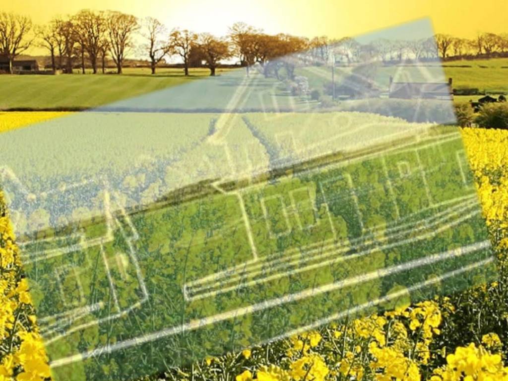 immagine annuncio 1 di 2