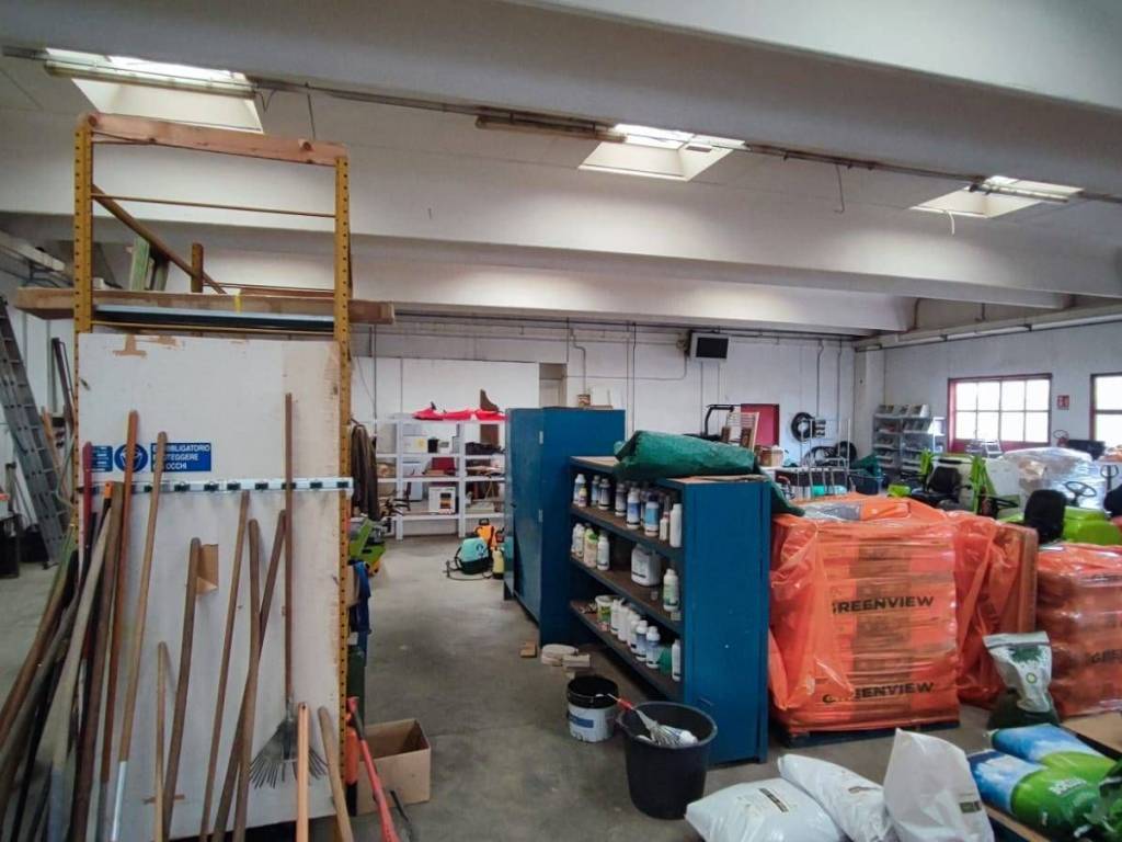 immagine annuncio 3 di 5