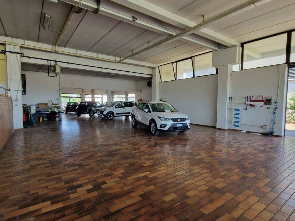 immagine annuncio 3 di 5