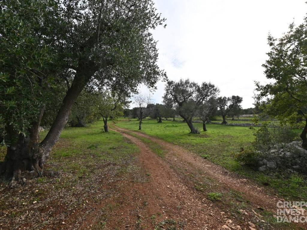 immagine annuncio 3 di 4