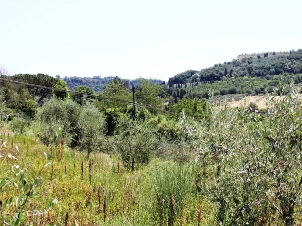 immagine annuncio 1 di 2