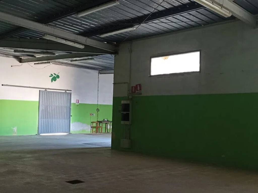 immagine annuncio 2 di 5